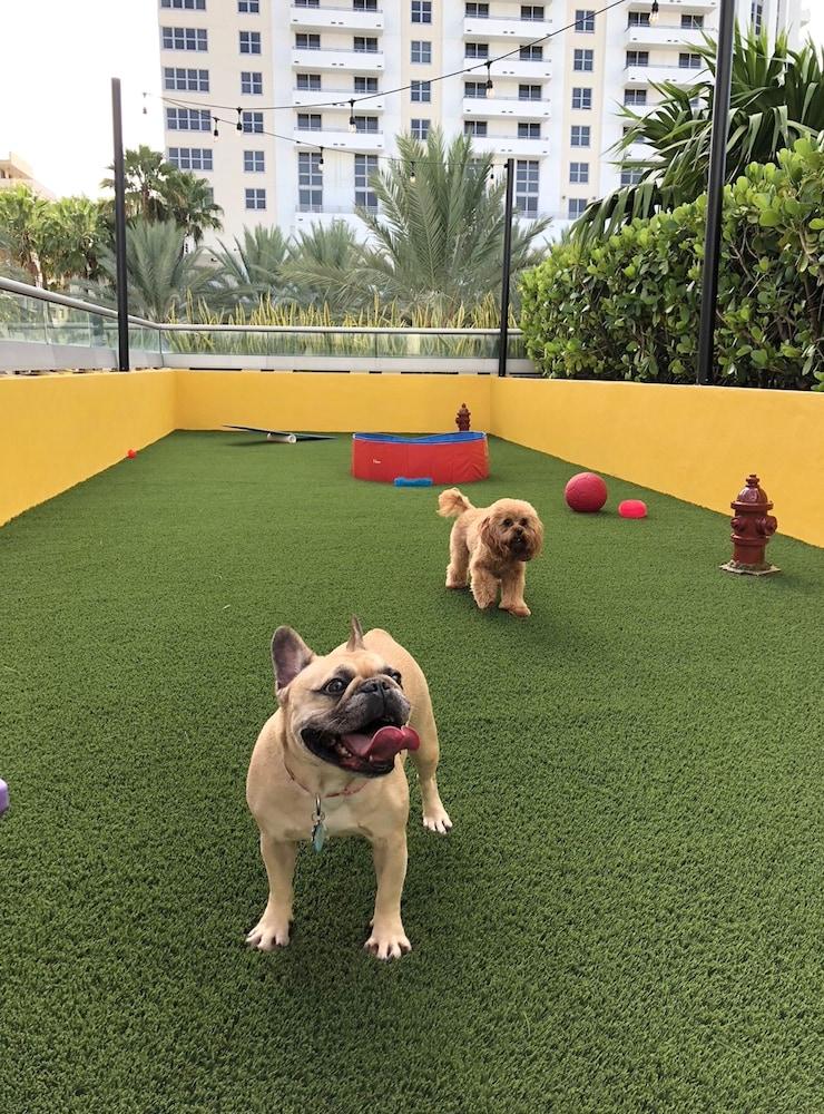 Hyatt Centric South Beach Miami Miami Beach Ngoại thất bức ảnh